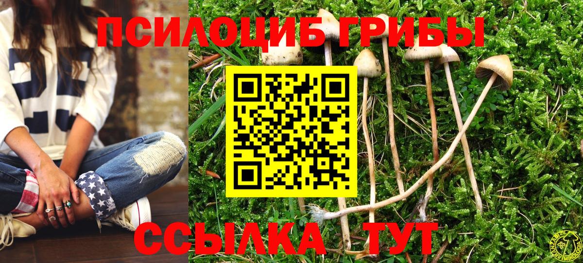 Каменск-Уральский  Псилоцибиновые грибы GOLDEN TEACHER  Вход с VPN 